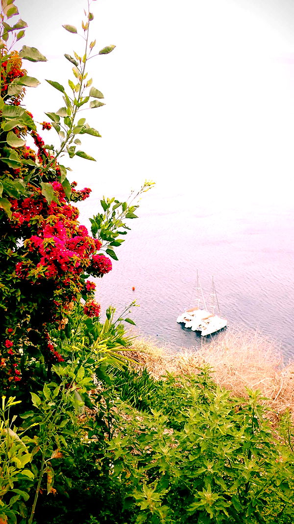 itsnellxoxo image ~ Altpins