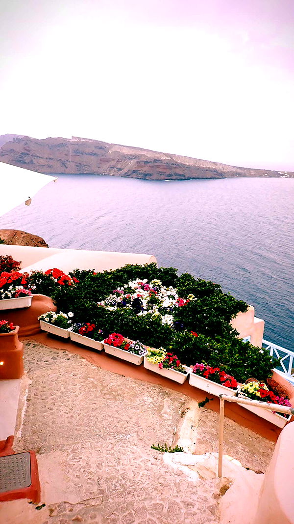 itsnellxoxo image ~ Altpins