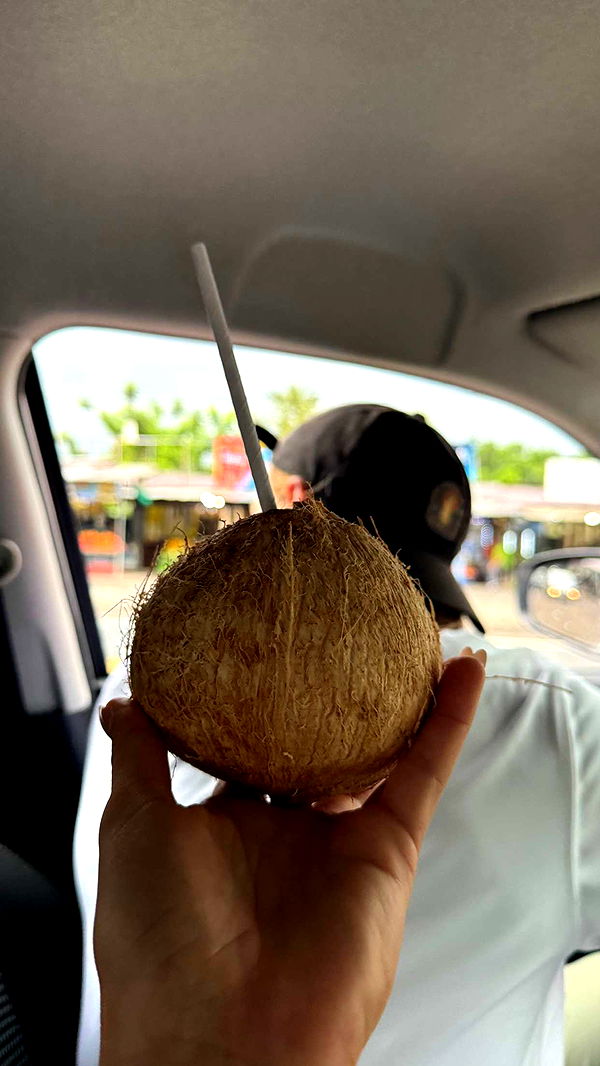 itsnellxoxo image ~ Altpins