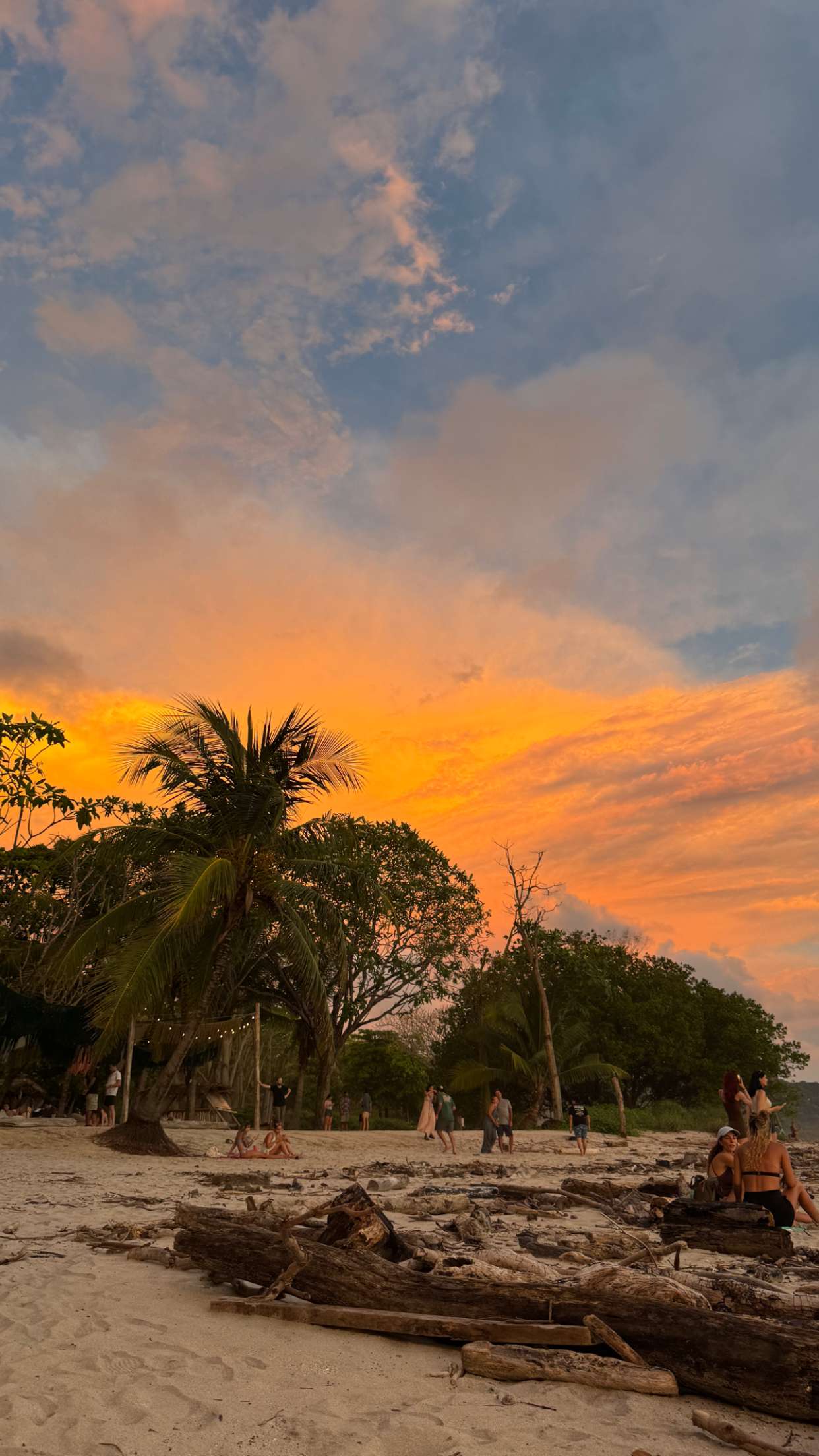 itsnellxoxo snapchat image archive image