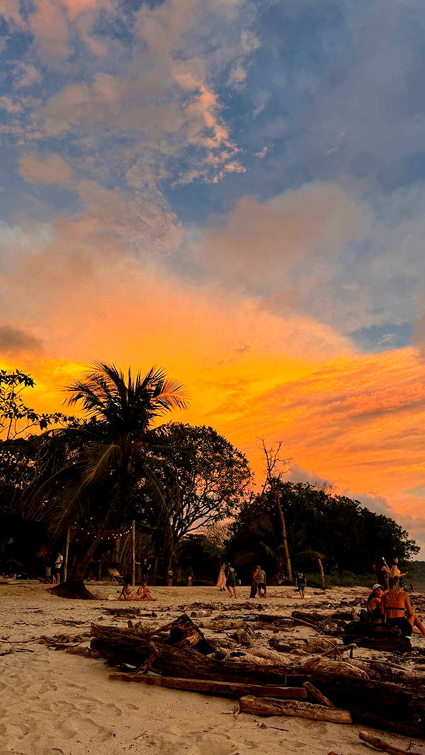 itsnellxoxo image ~ Altpins