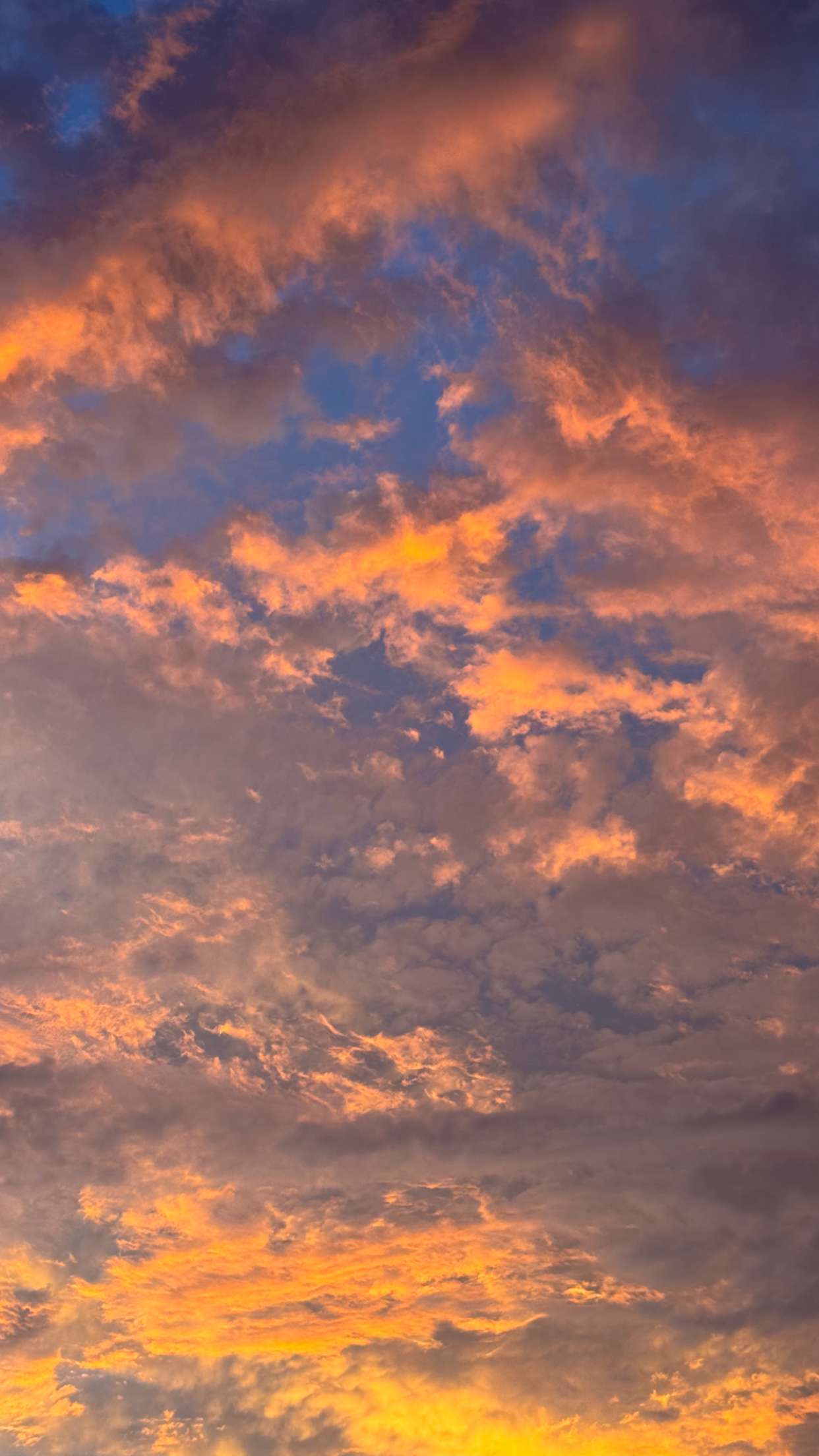 itsnellxoxo snapchat image archive image