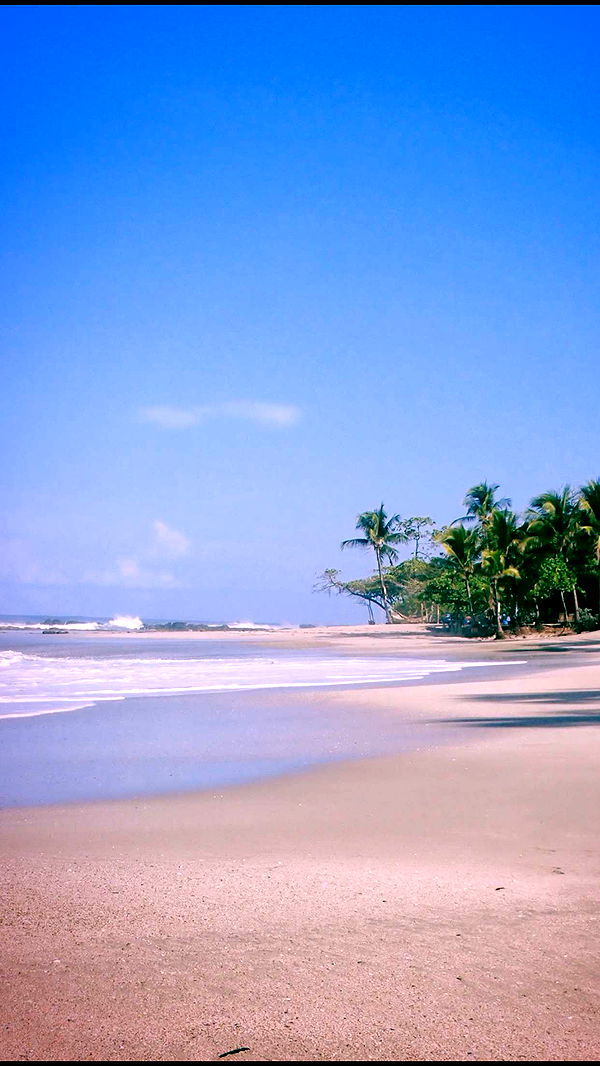 itsnellxoxo image ~ Altpins