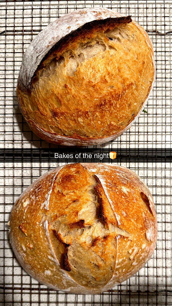 itsnellxoxo image ~ Altpins