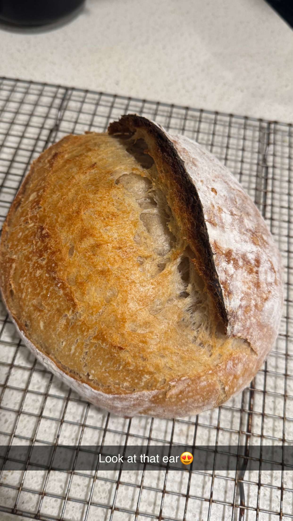 itsnellxoxo snapchat image archive image