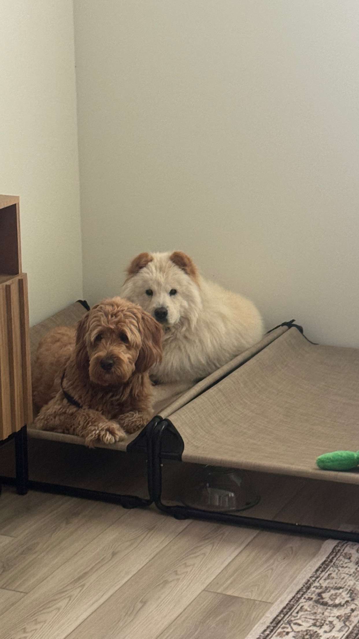 itsnellxoxo snapchat image archive image