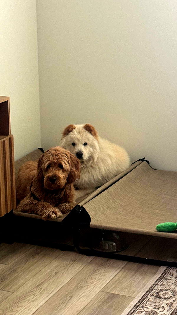 itsnellxoxo image ~ Altpins