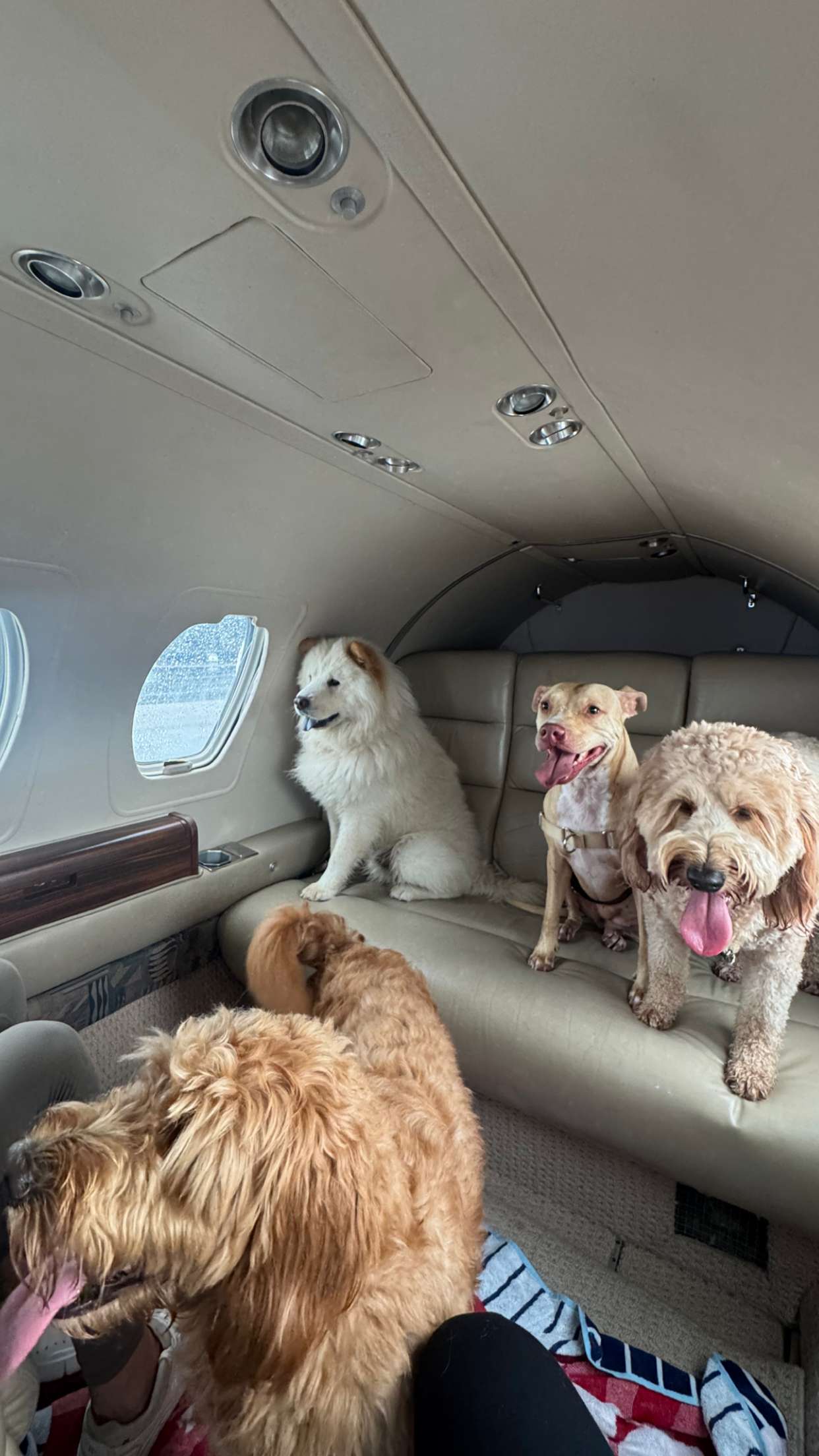 itsnellxoxo snapchat image archive image