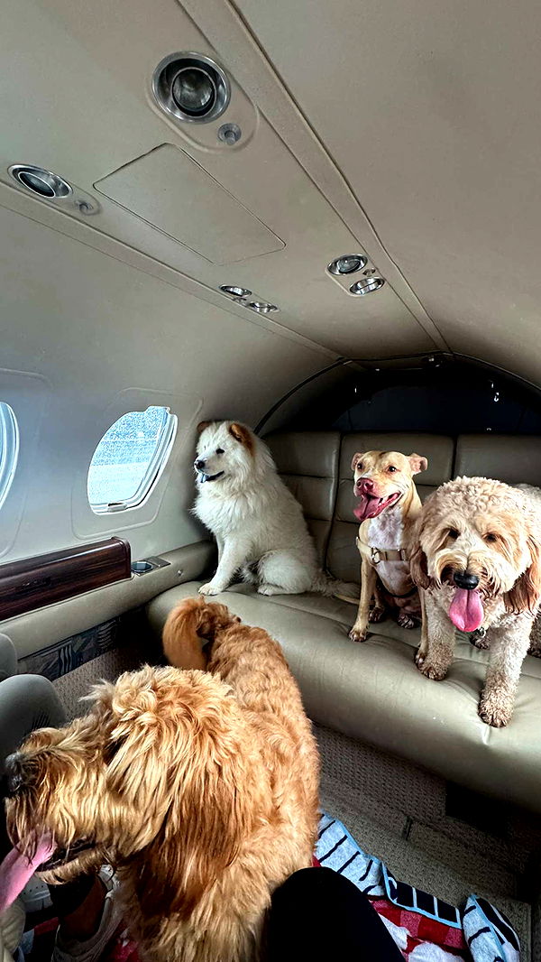 itsnellxoxo image ~ Altpins