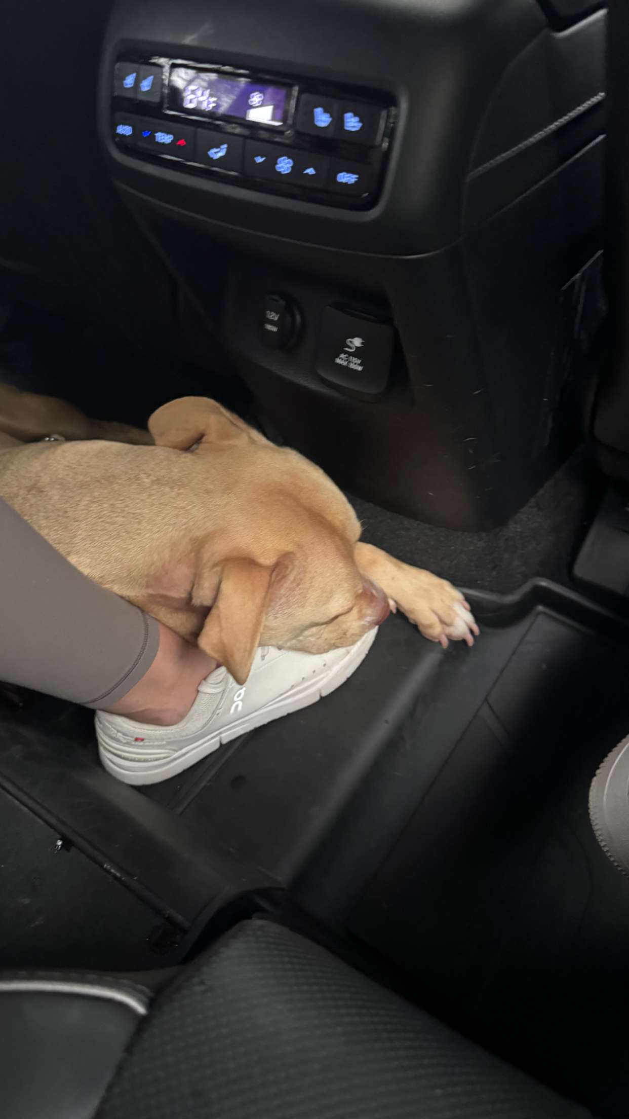 itsnellxoxo snapchat image archive image