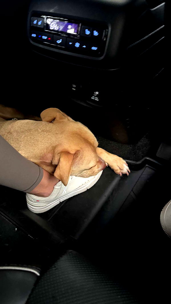 itsnellxoxo image ~ Altpins