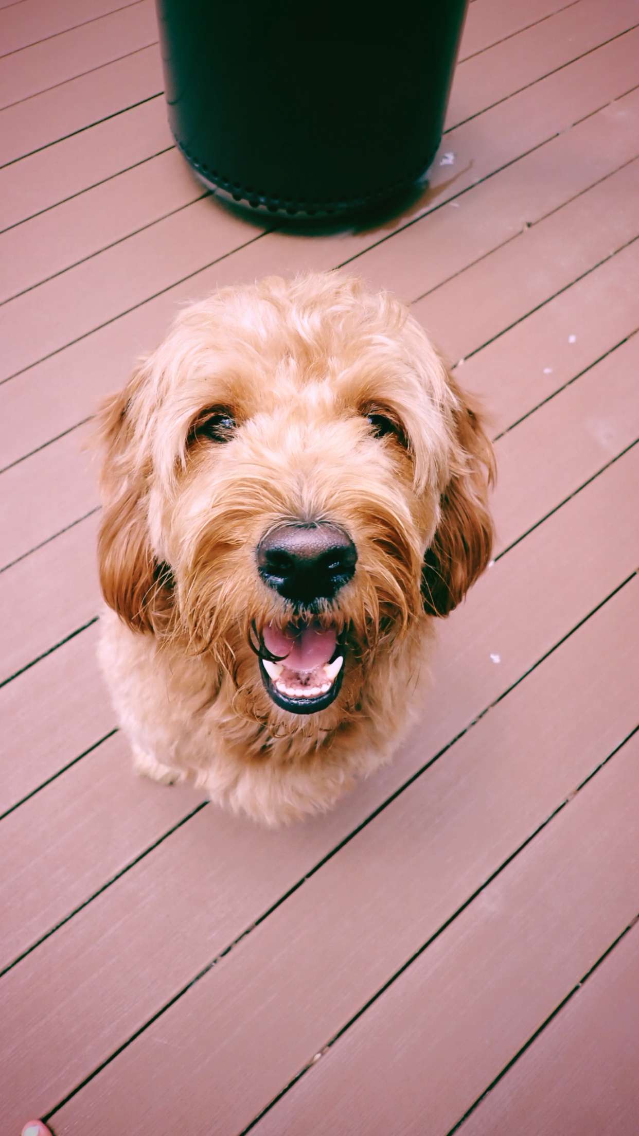 itsnellxoxo snapchat image archive image