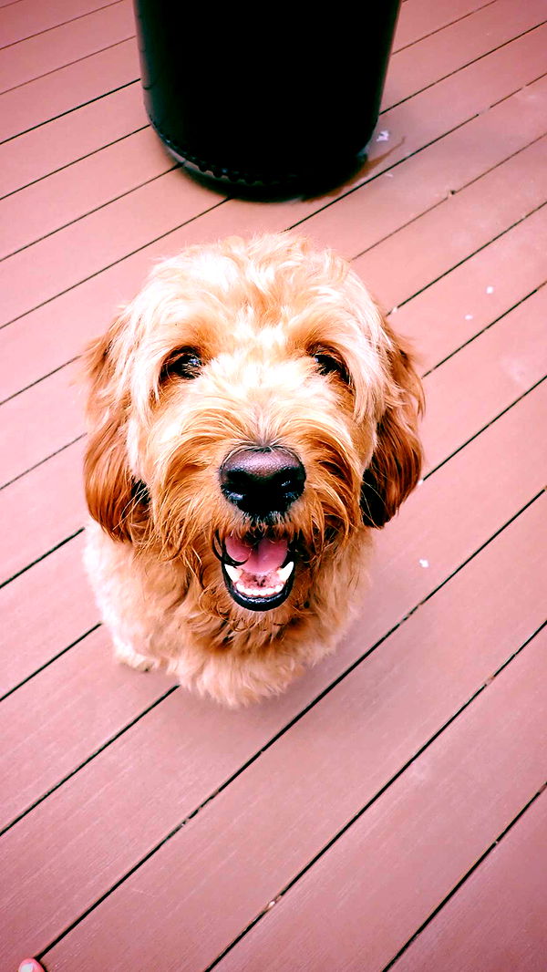 itsnellxoxo image ~ Altpins