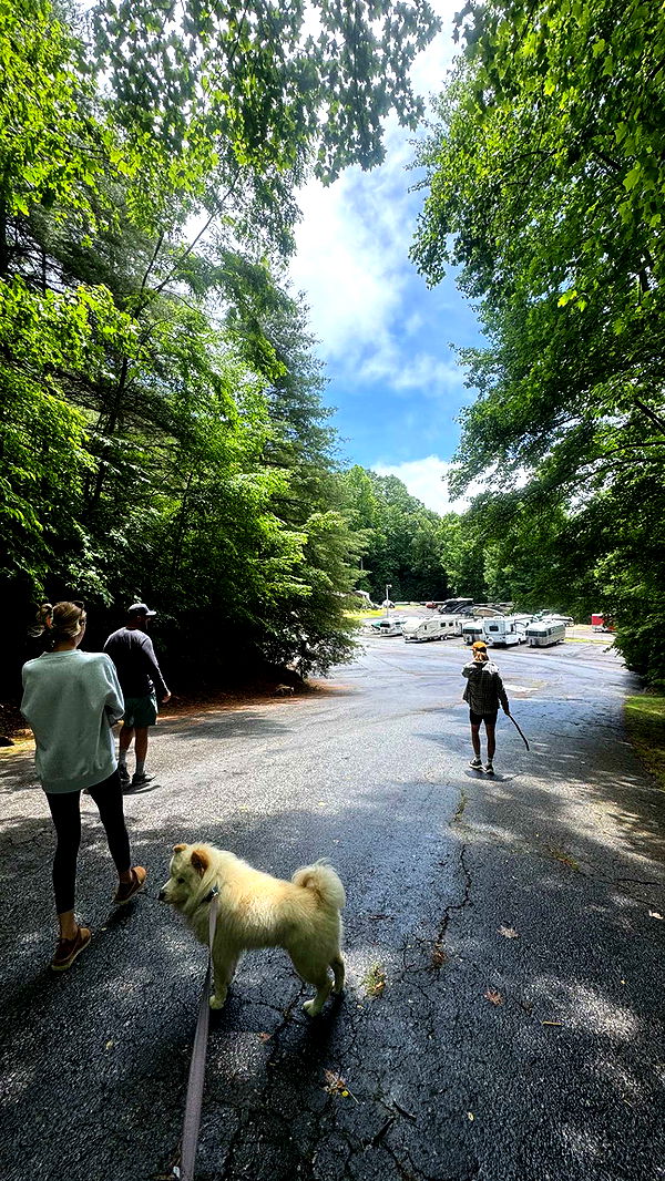 itsnellxoxo image ~ Altpins