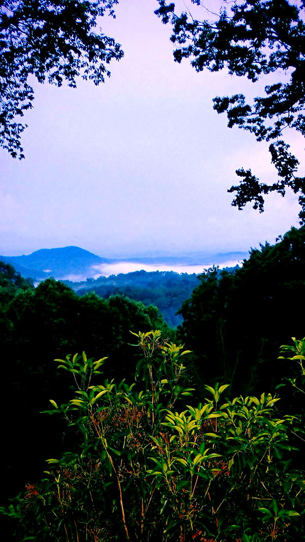 itsnellxoxo image ~ Altpins