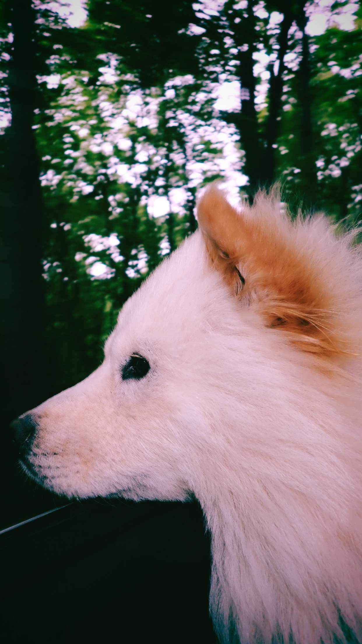 itsnellxoxo snapchat image archive image