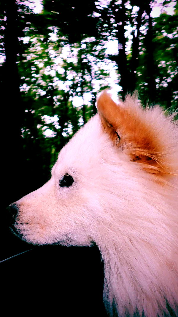 itsnellxoxo image ~ Altpins