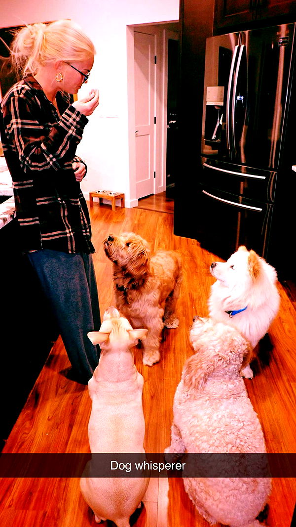 itsnellxoxo image ~ Altpins