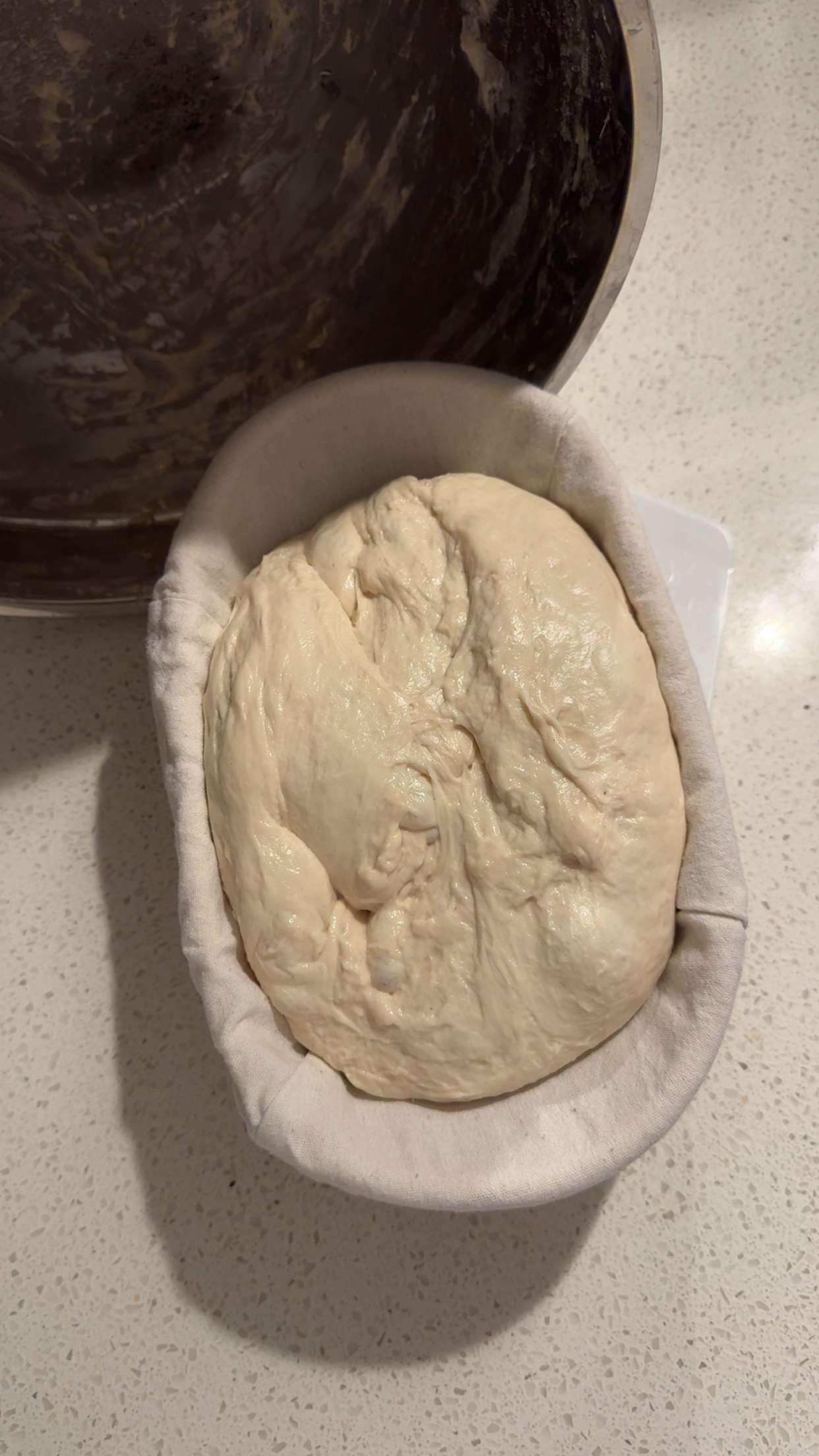 itsnellxoxo snapchat image archive image