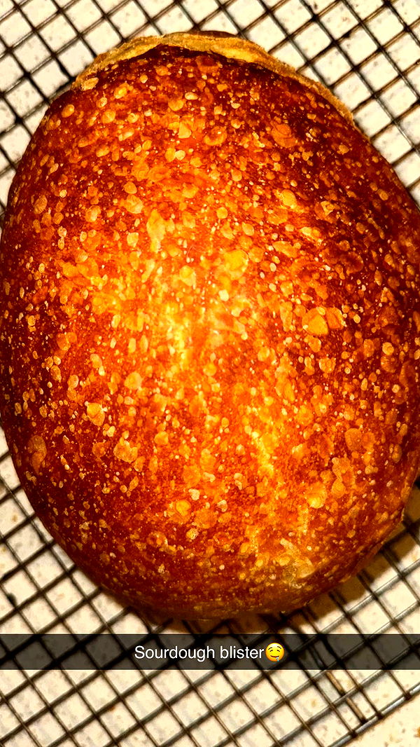 itsnellxoxo image ~ Altpins