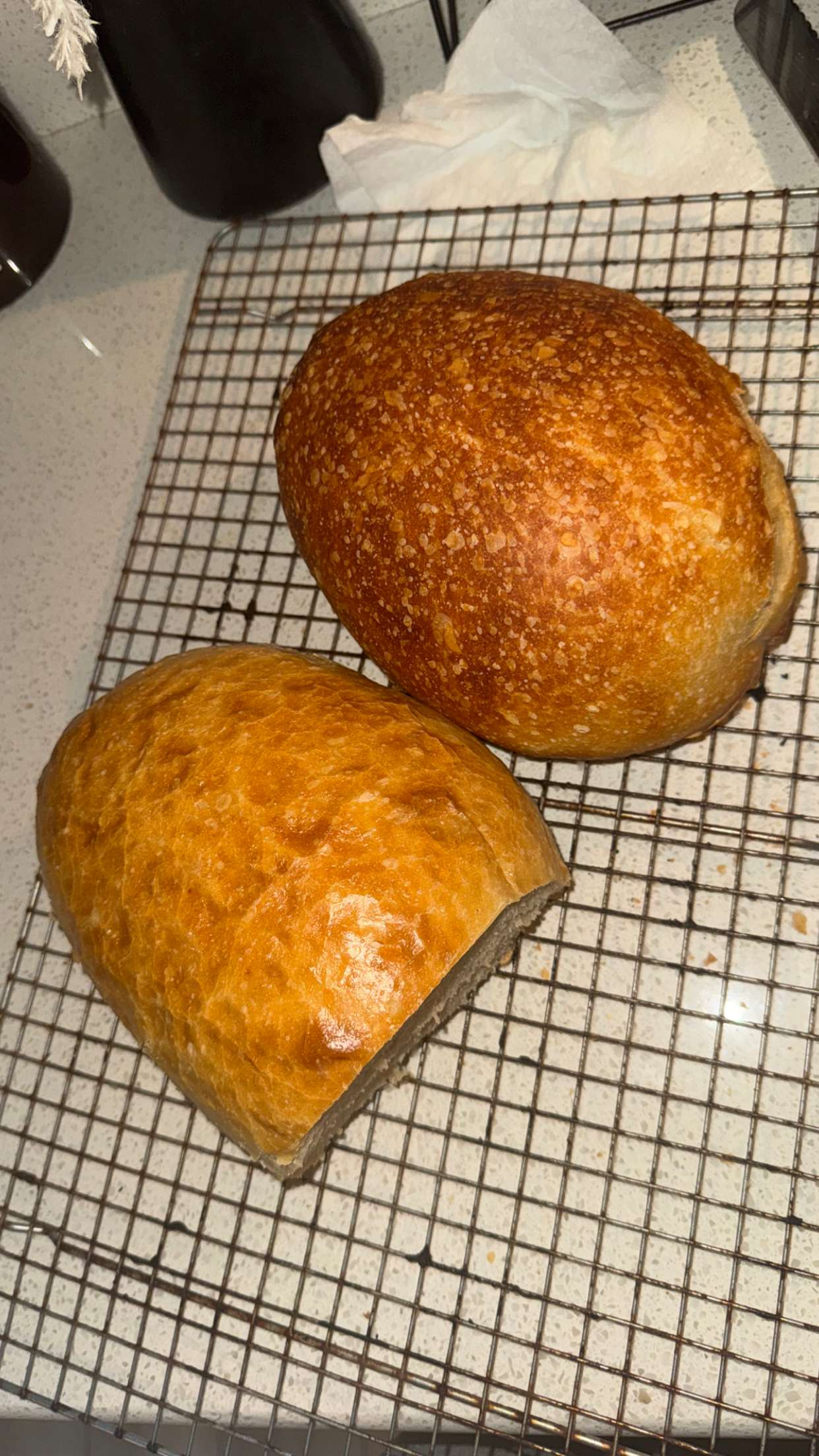 itsnellxoxo snapchat image archive image