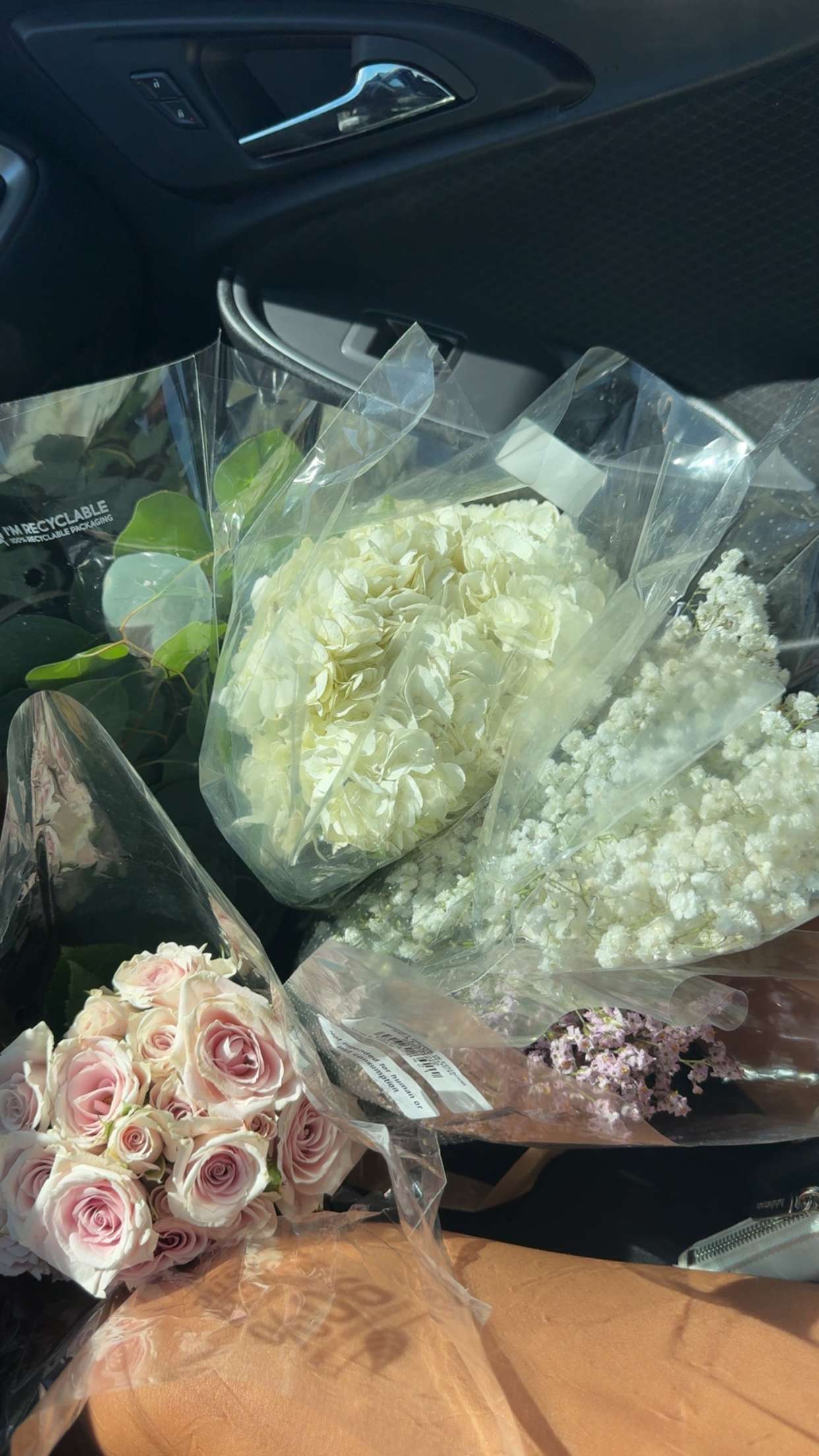 itsnellxoxo snapchat image archive image