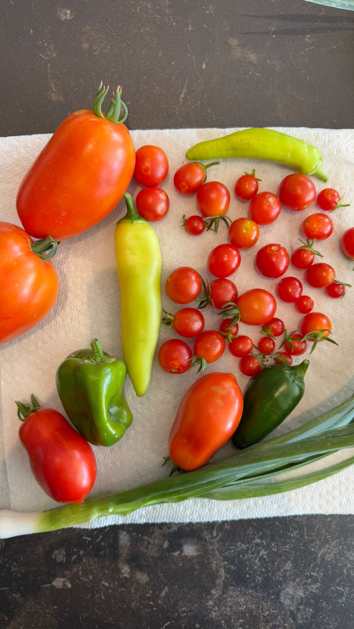 itsnellxoxo snapchat image archive image