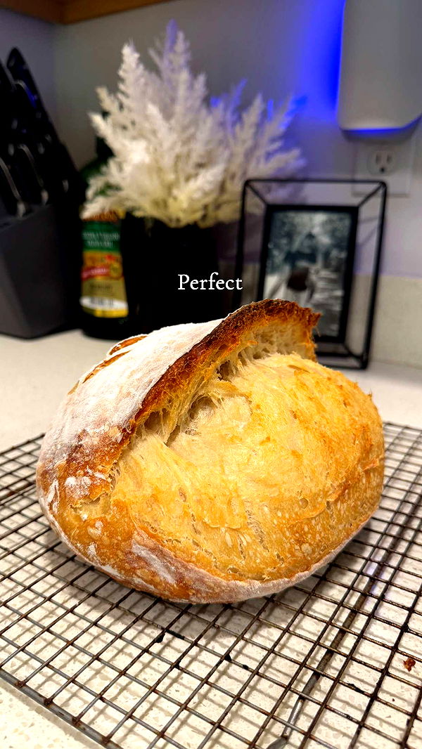 itsnellxoxo image ~ Altpins