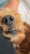 itsnellxoxo Altpins Profile Picture