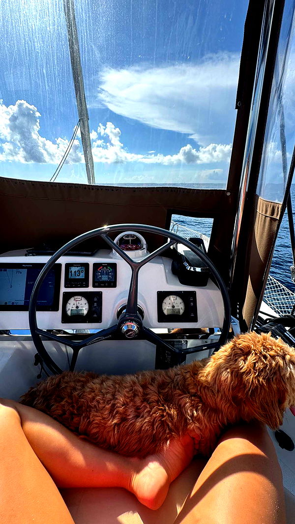 itsnellxoxo image ~ Altpins