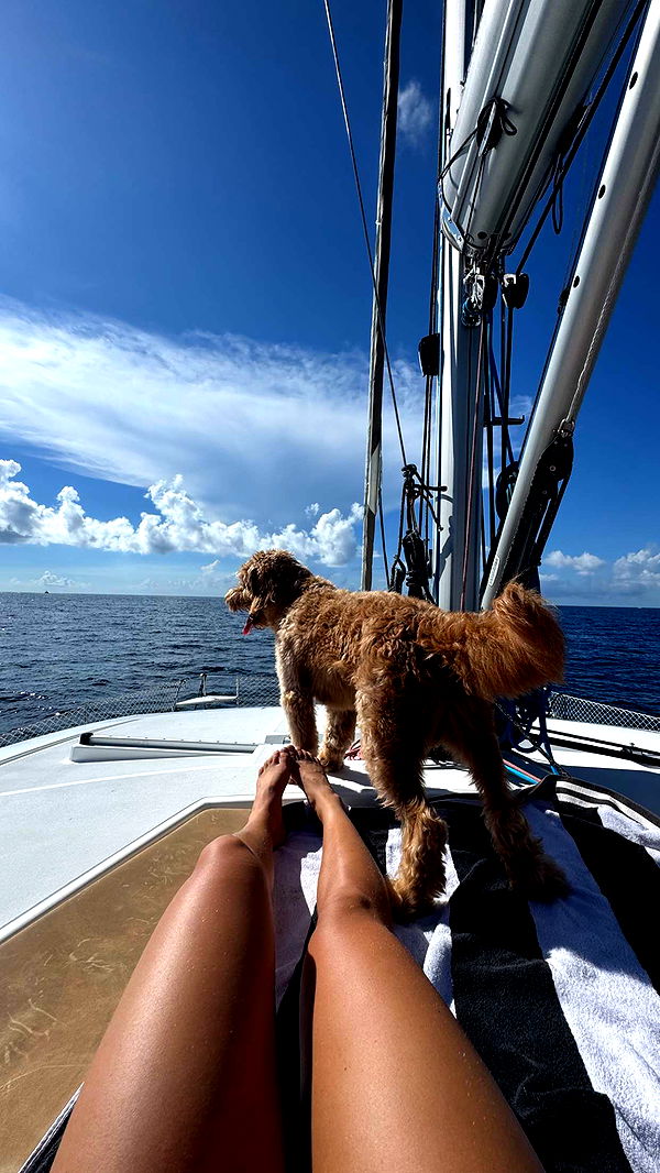 itsnellxoxo image ~ Altpins