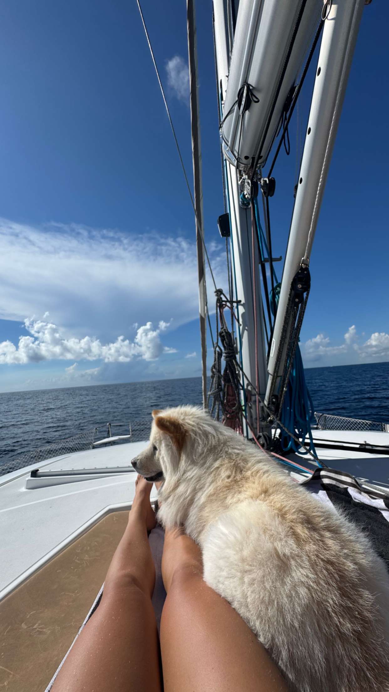 itsnellxoxo snapchat image archive image