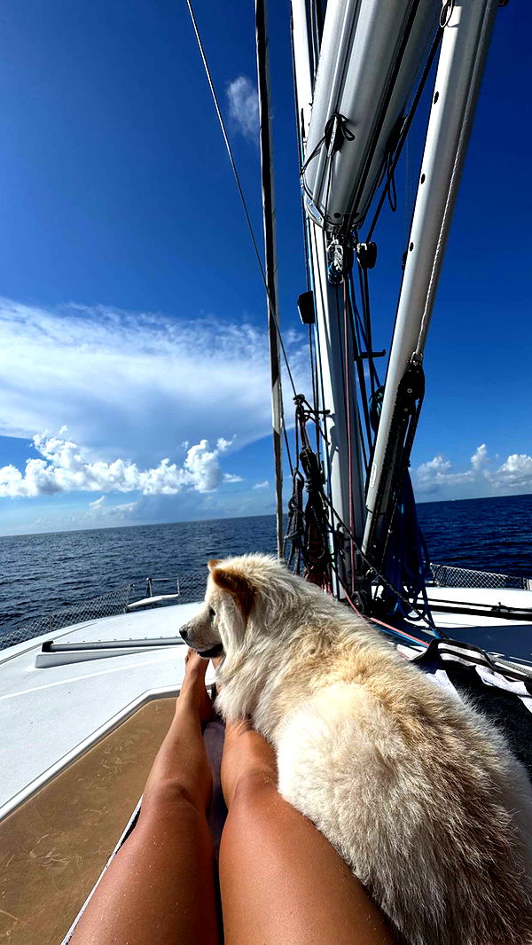 itsnellxoxo image ~ Altpins