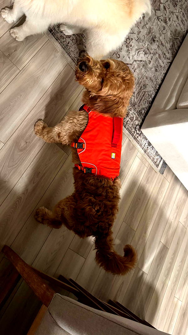 itsnellxoxo image ~ Altpins