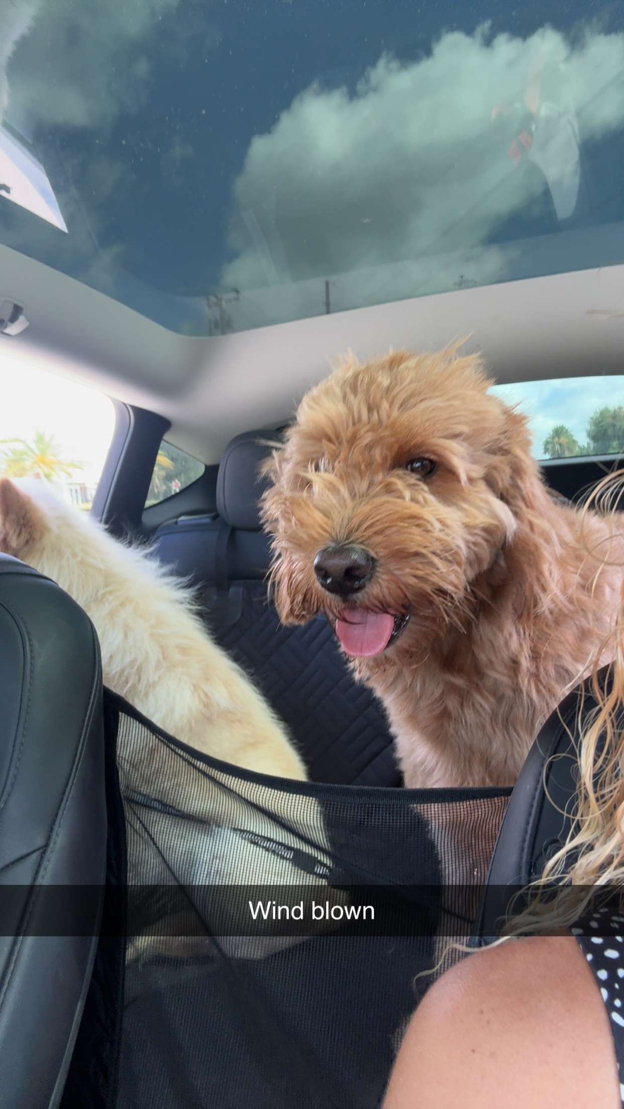 itsnellxoxo snapchat image archive image