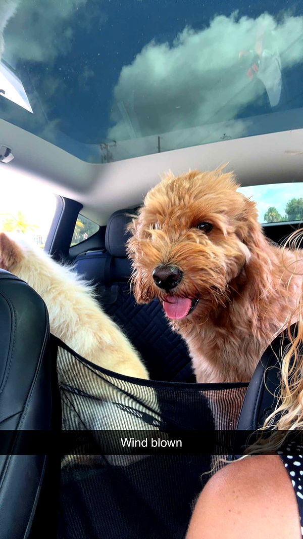 itsnellxoxo image ~ Altpins