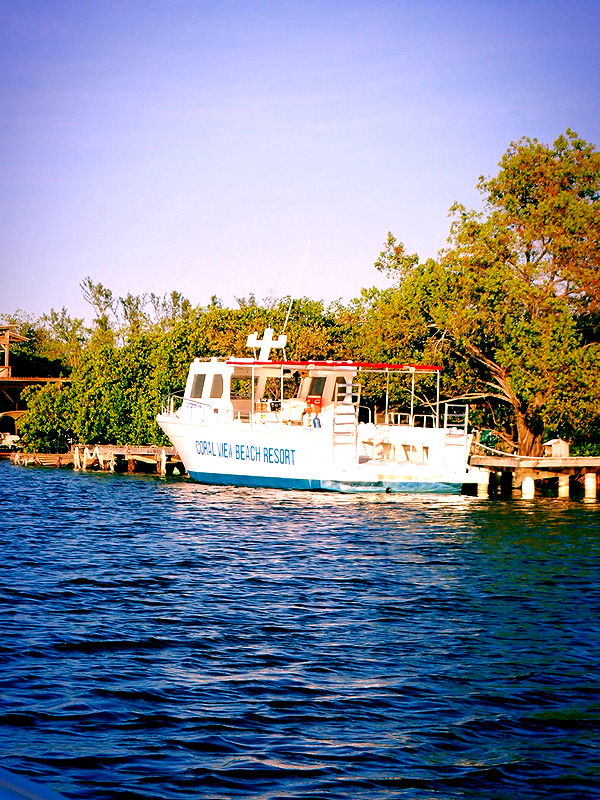 itsnellxoxo image ~ Altpins