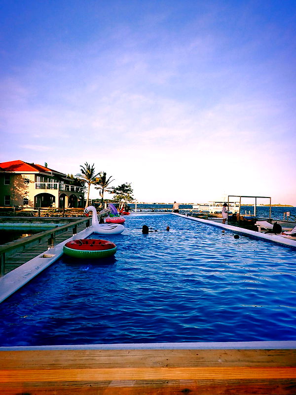 itsnellxoxo image ~ Altpins