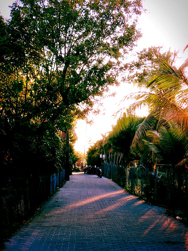 itsnellxoxo image ~ Altpins