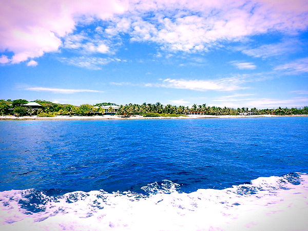 itsnellxoxo image ~ Altpins