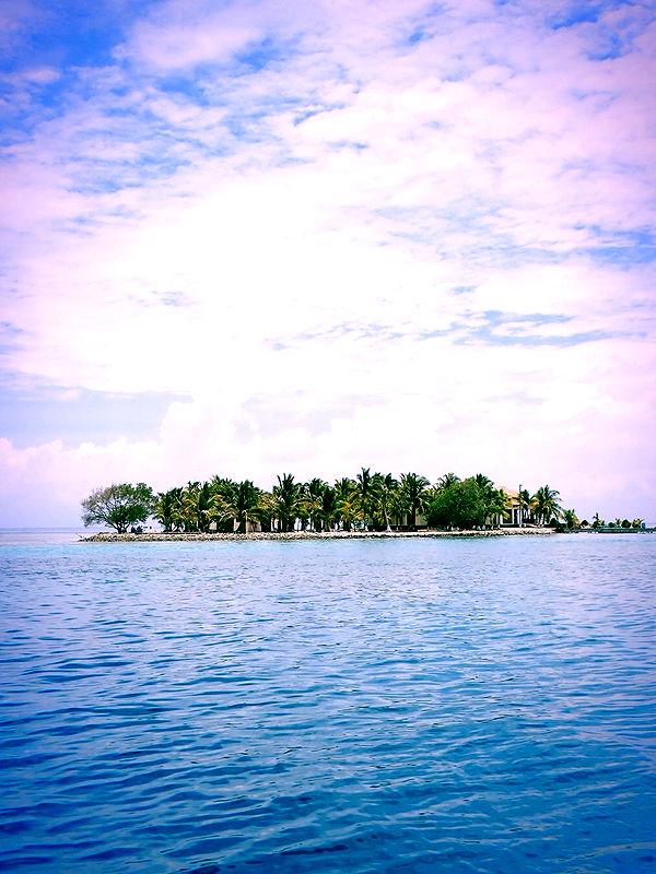 itsnellxoxo image ~ Altpins