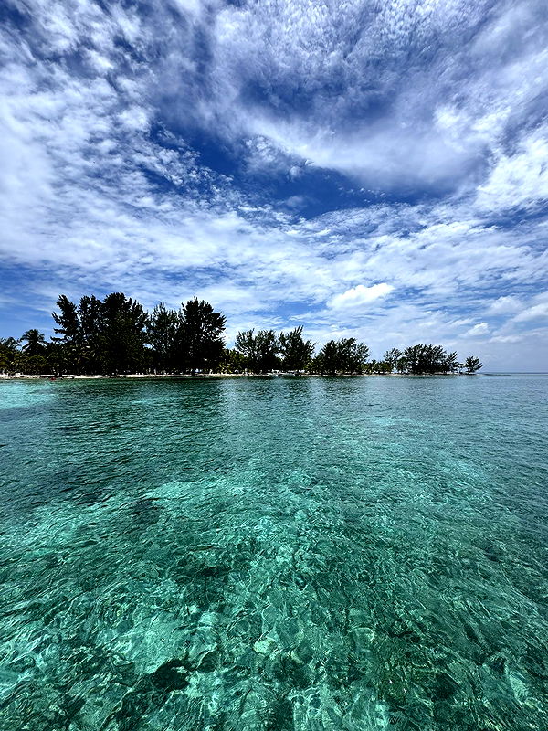 itsnellxoxo image ~ Altpins