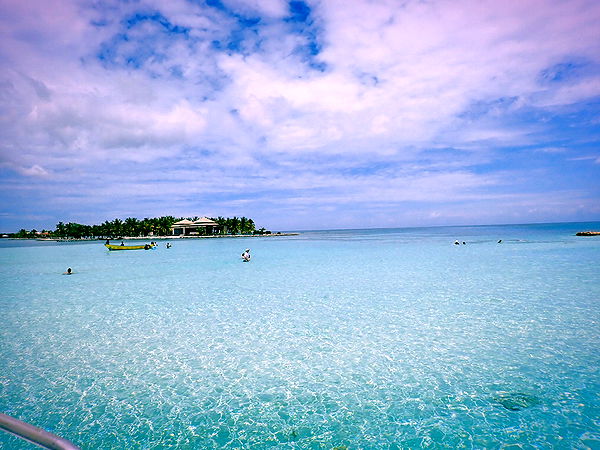 itsnellxoxo image ~ Altpins