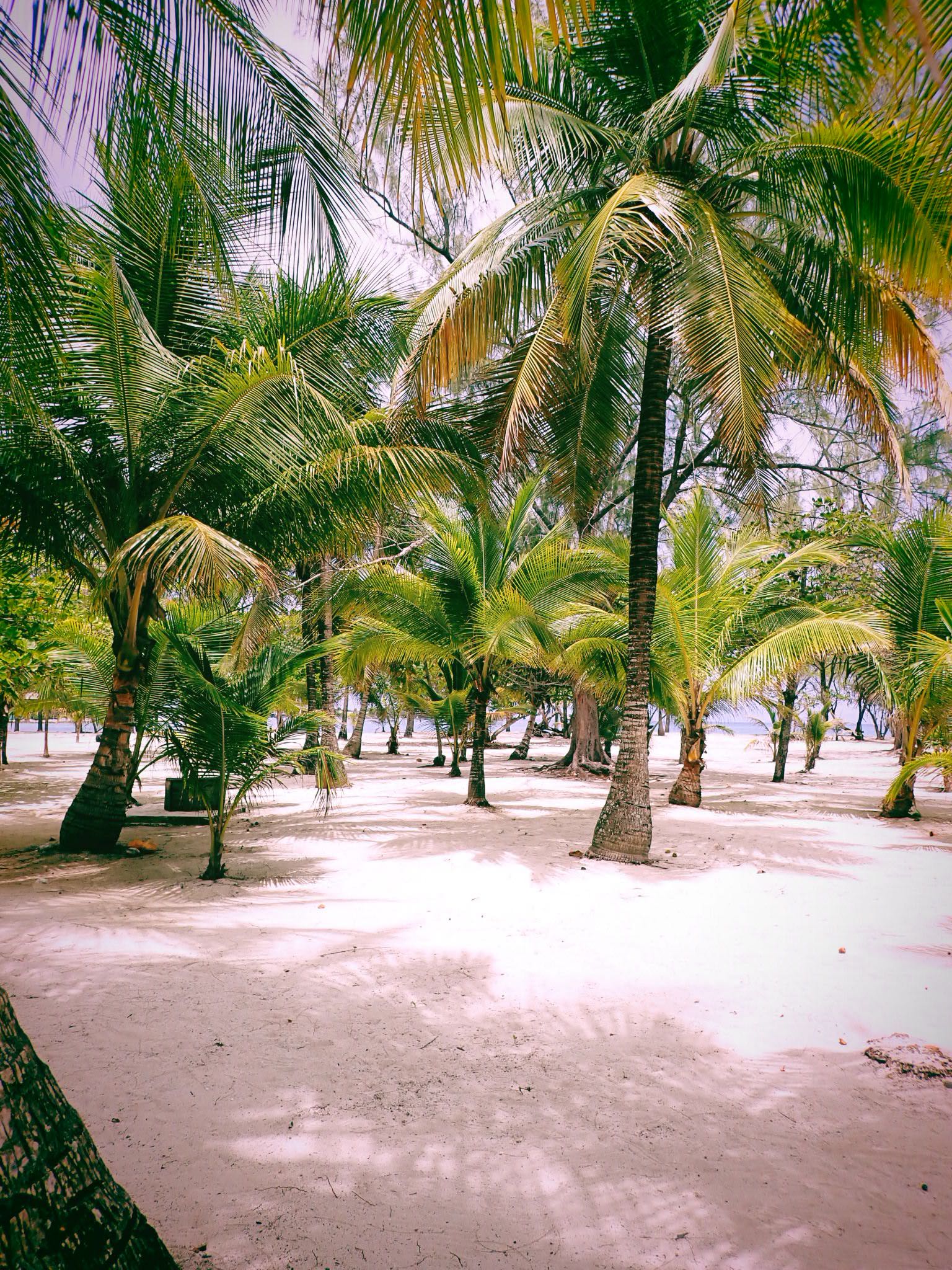 itsnellxoxo snapchat image archive image