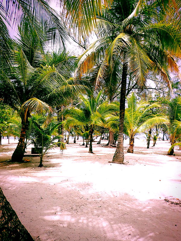 itsnellxoxo image ~ Altpins