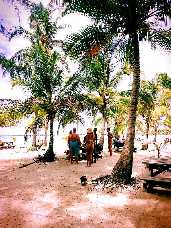 itsnellxoxo image ~ Altpins