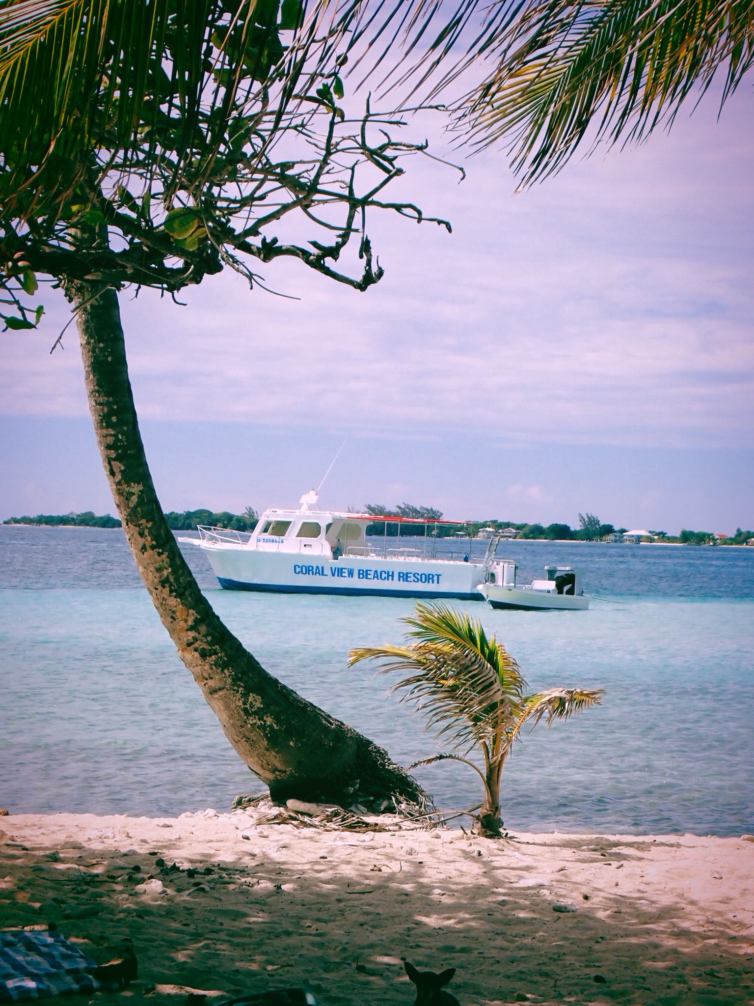 itsnellxoxo snapchat image archive image