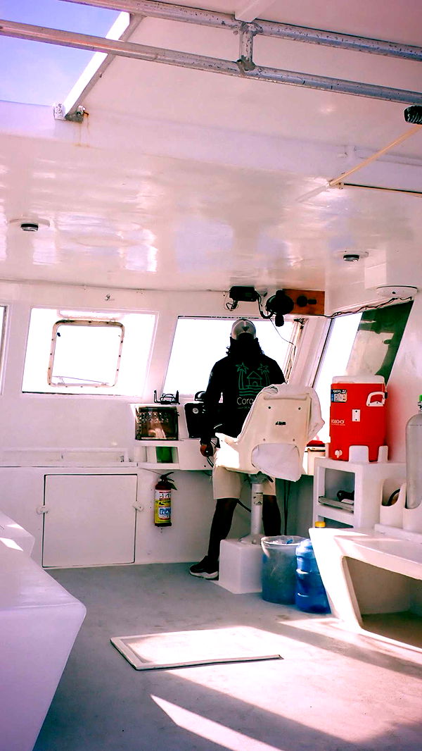 itsnellxoxo image ~ Altpins