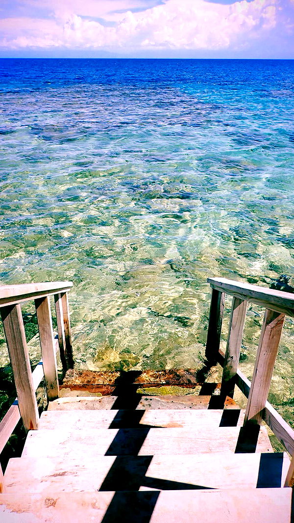 itsnellxoxo image ~ Altpins