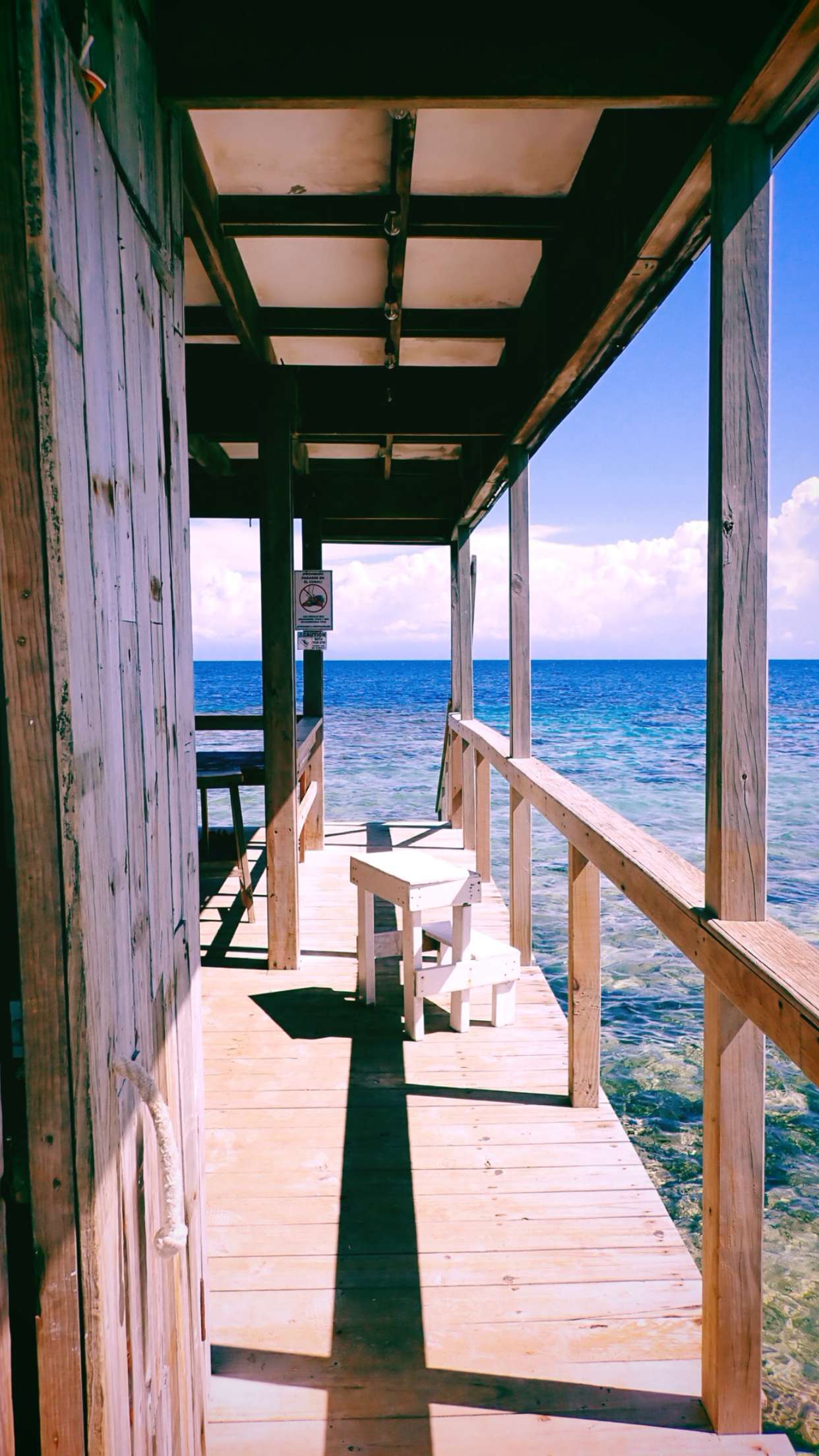 itsnellxoxo snapchat image archive image